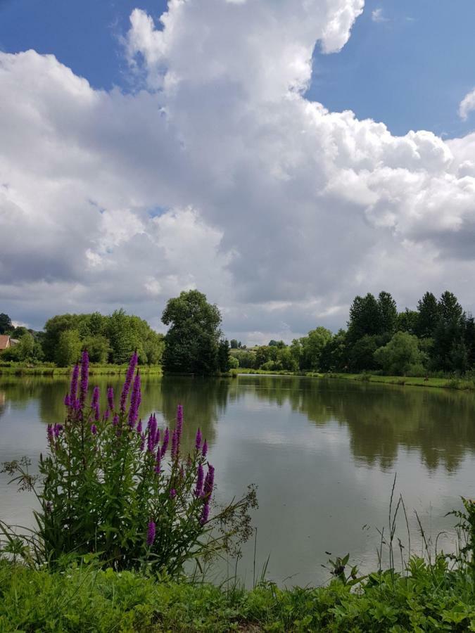 Гостевой дом Na Stawach Stryszow Экстерьер фото